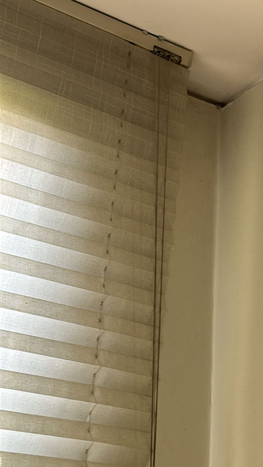 Proyecto de cortinas a medida